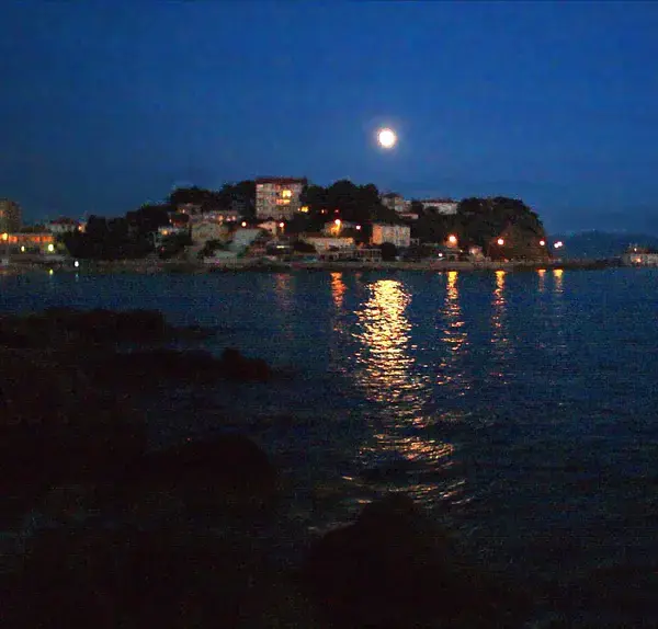 Monte Escalier Pratique Monte escalier Bandol