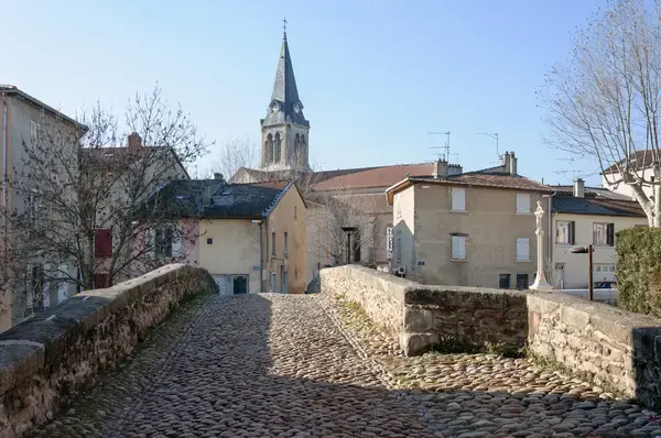 Monte Escalier Pratique Monte escalier Brignais