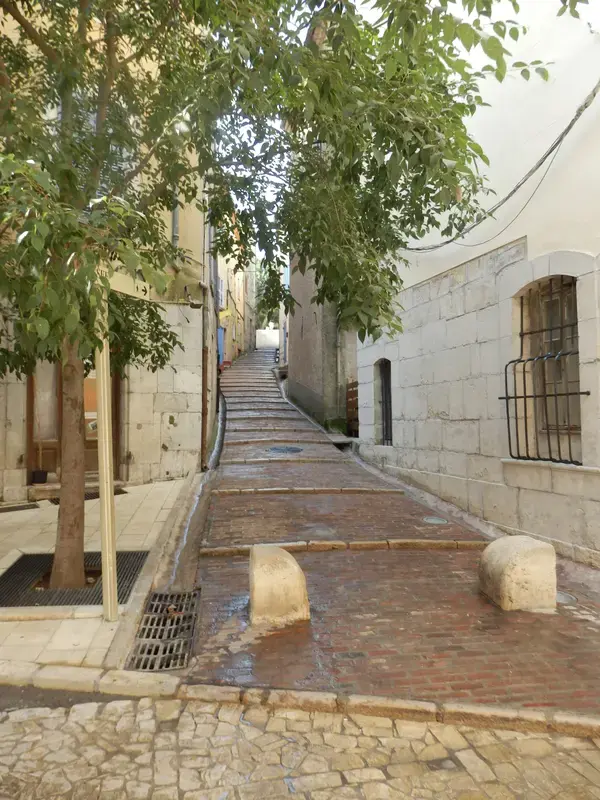 Monte Escalier Pratique Monte escalier Brignoles