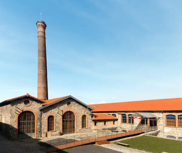 Monte Escalier Pratique Monte escalier Chazelles-sur-Lyon