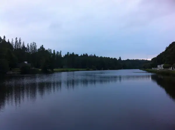 Monte Escalier Pratique Monte escalier Inzinzac-Lochrist