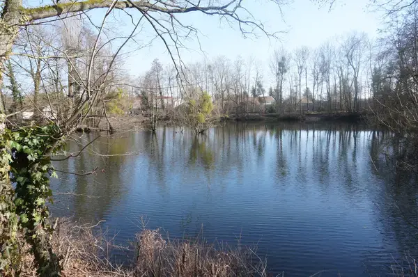 Monte Escalier Pratique Monte escalier La Chapelle-Saint-Luc