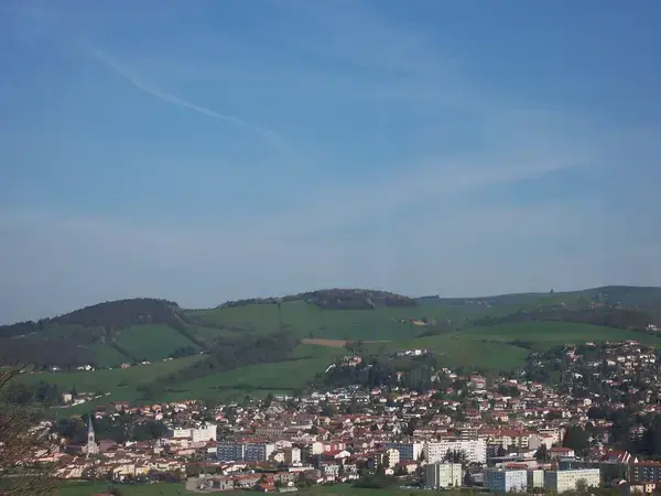 Monte Escalier Pratique Monte escalier La Talaudière