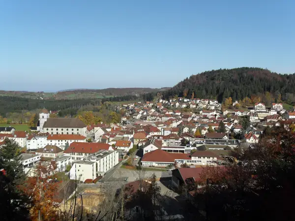 Monte Escalier Pratique Monte escalier Maîche