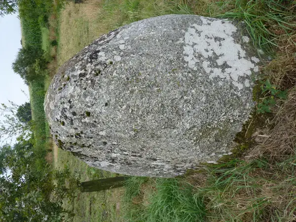 Monte Escalier Pratique Monte escalier Plaintel