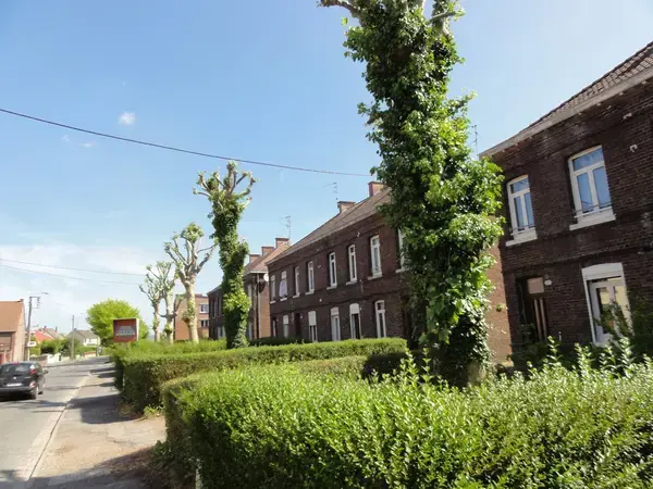 Monte Escalier Pratique Monte escalier Quiévrechain