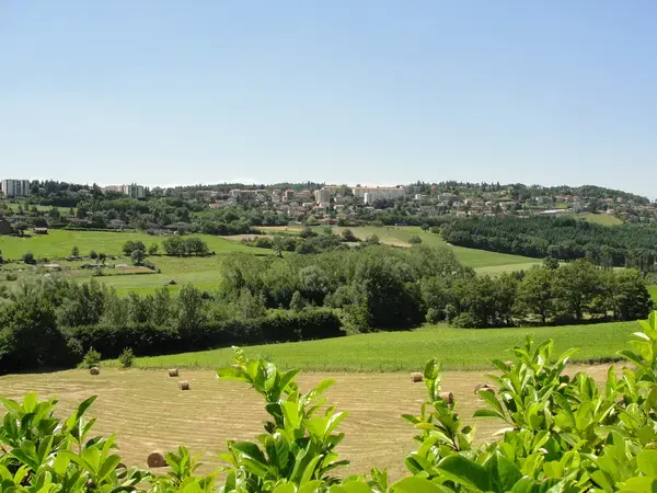 Monte Escalier Pratique Monte escalier Saint-Genest-Lerpt