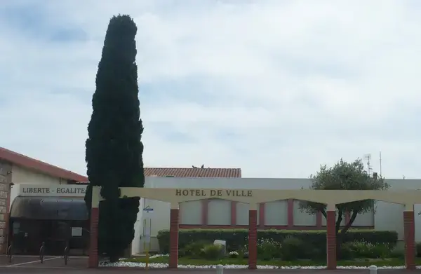 Monte Escalier Pratique Monte escalier Saleilles