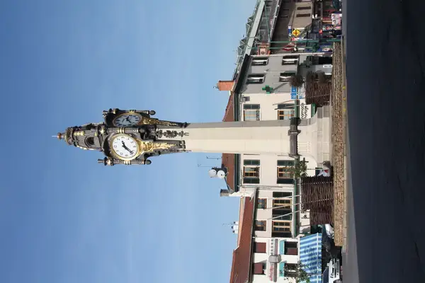 Monte Escalier Pratique Monte escalier Tassin-la-Demi-Lune