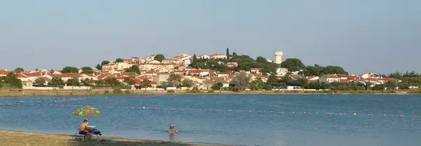 Monte Escalier Pratique Monte escalier Villeneuve-de-la-Raho